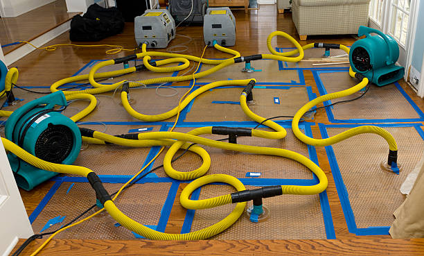 Professional Structural Drying And Dehumidification technician working in Pierce, TX